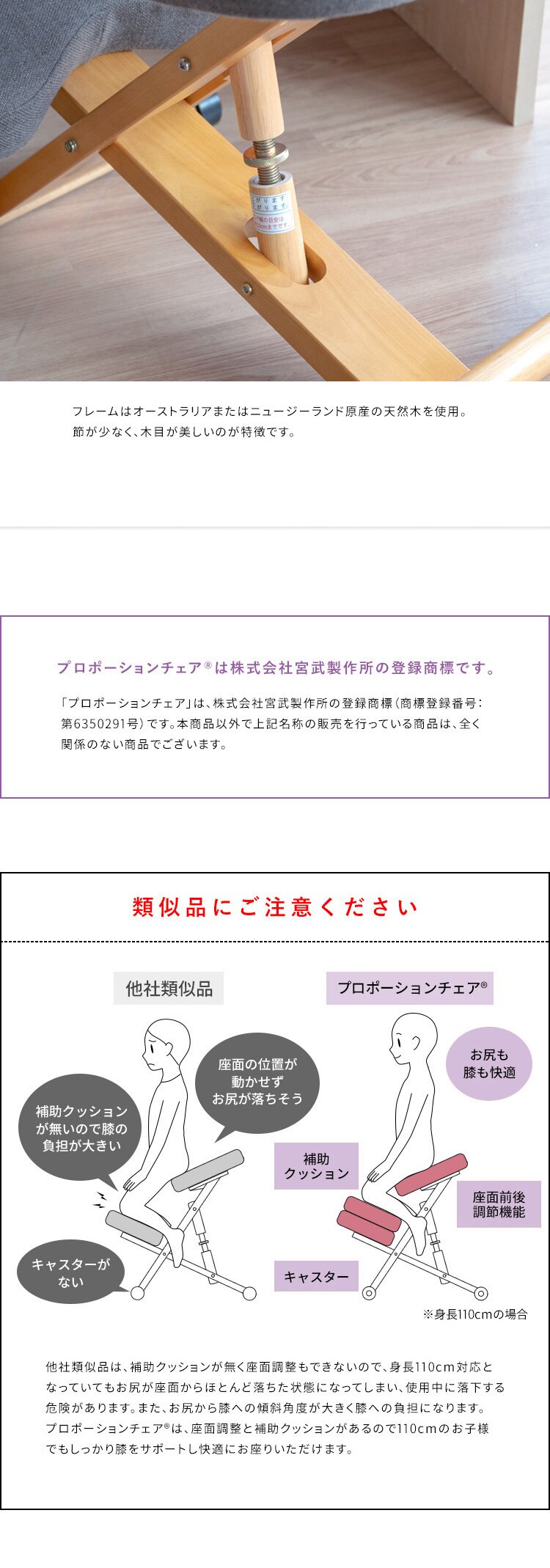 宮武製作所 プロポーションチェア CH-88W ローズ【時間指定不可】【代引き不可】10