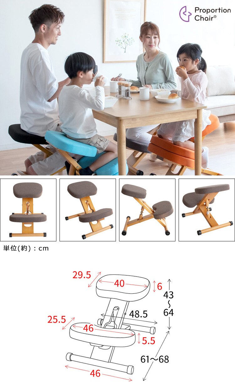 宮武製作所 プロポーションチェア CH-88W ローズ【時間指定不可】【代引き不可】12
