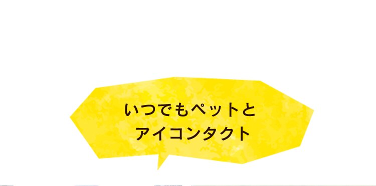 折り畳みミニペットカート 4輪 ブラウン犬 カート【前払い不可】【代引き不可】【同梱不可】7
