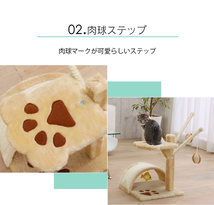 キャットランド5