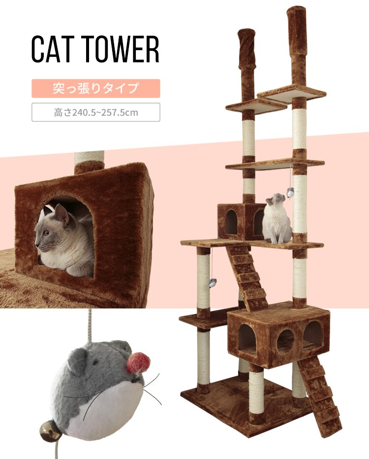 キャットランド QQ807860