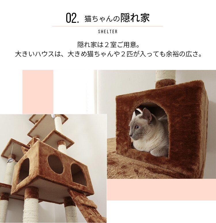 キャットランド QQ807863