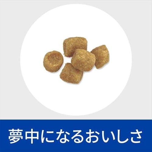 ヒルズ 特別療法食 猫用 尿ケア c/d マルチケア フィッシュ入り 2kg キャットフード ドライフード2