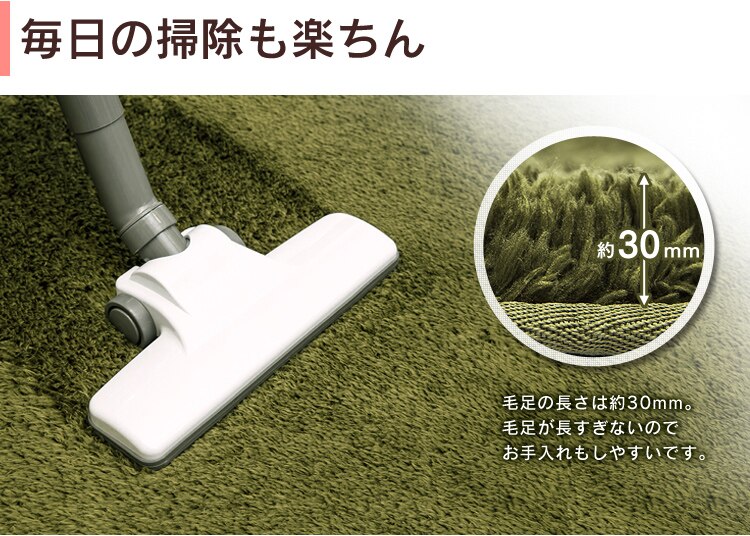 防ダニ加工　洗える マイクロファイバー シャギーラグ 200&times;200 57074206 ブラウン6