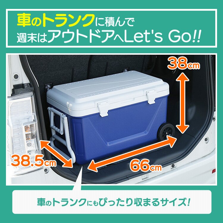 クーラーボックス 45L CB-G001-BL 【前払い不可】【代引き不可】【同梱不可】1