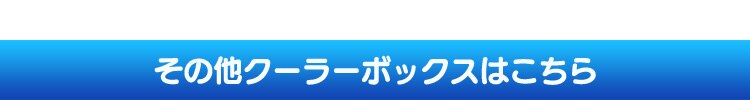 クーラーボックス 45L CB-G001-BL 【前払い不可】【代引き不可】【同梱不可】10