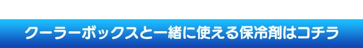 クーラーボックス 45L CB-G001-BL 【前払い不可】【代引き不可】【同梱不可】13