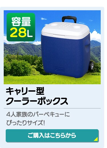 クーラーボックス 48L CB-G003-BL 12