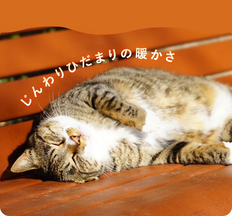 オイルヒーター 8畳 温度調節 POH-1210KS-W ホワイト【前払い不可】【代引き不可】【同梱不可】3