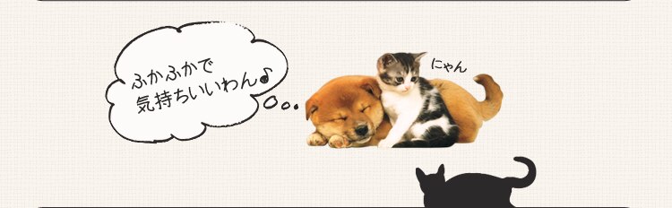 プレミアムペットキャリー Sサイズ ブラウン PC-S002 S BR 犬 猫 キャリー9