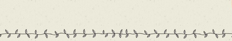 2WAYアウトドアペットキャリー ブラック PC-S004 L BK 犬 猫 キャリー2