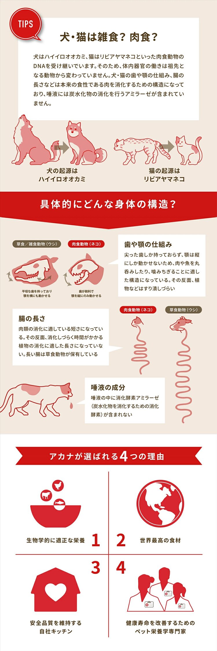 アカナ ライト&フィット 11.4kg 犬 フード1