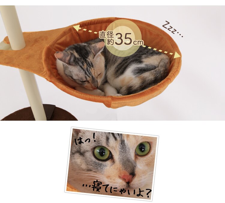 キャットポール 突っ張り 5