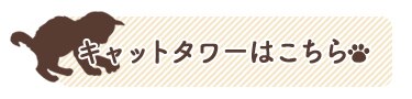 キャットタワーはこちら