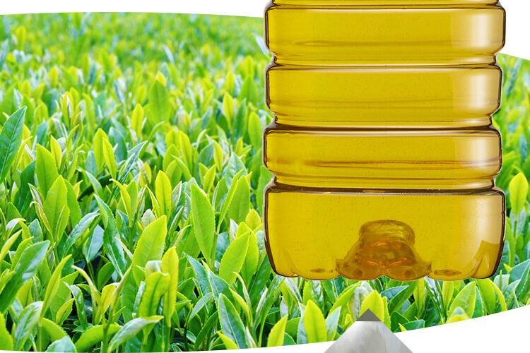 【6本】LDC お茶屋さんの緑茶 2L 【代引き不可】4