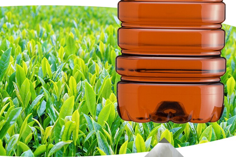 【6本】LDC お茶屋さんの緑茶 2L 【代引き不可】12