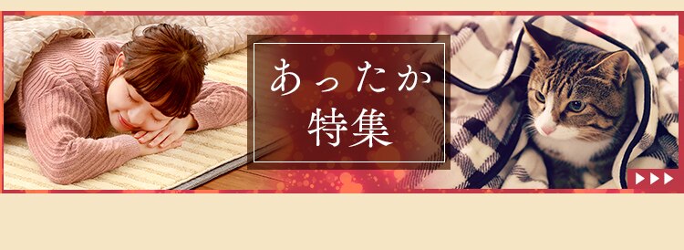 電気ストーブ EHT-800D-C アイボリー22