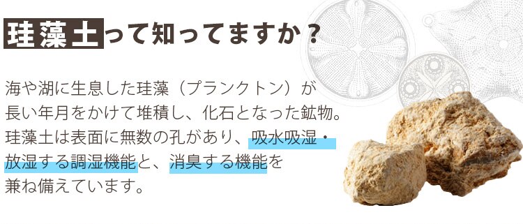 珪藻土って知ってますか
