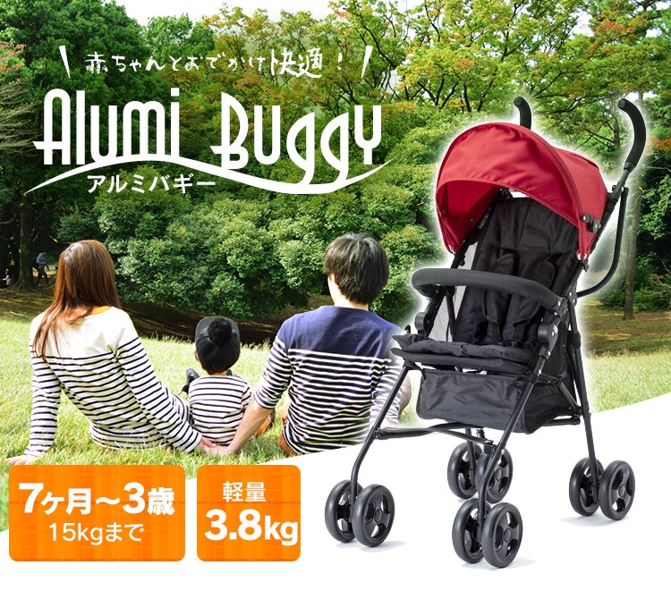 アルミバギー レッド2