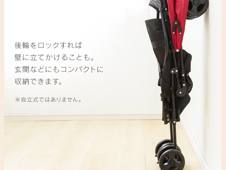 アルミバギー レッド21