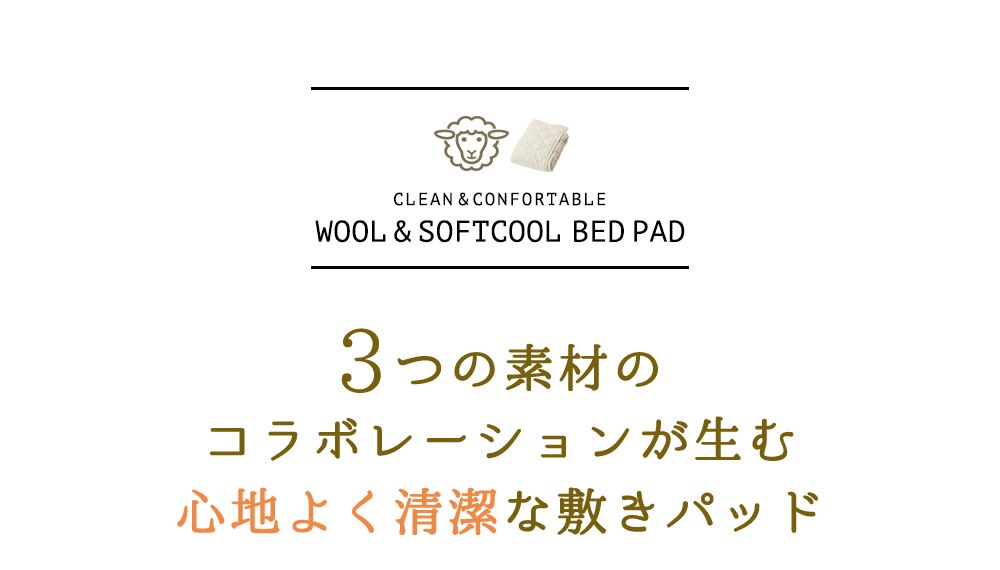 抗菌防臭・洗える羊毛混ベッドパッド シングル S アイボリー AKBYBP-S 3