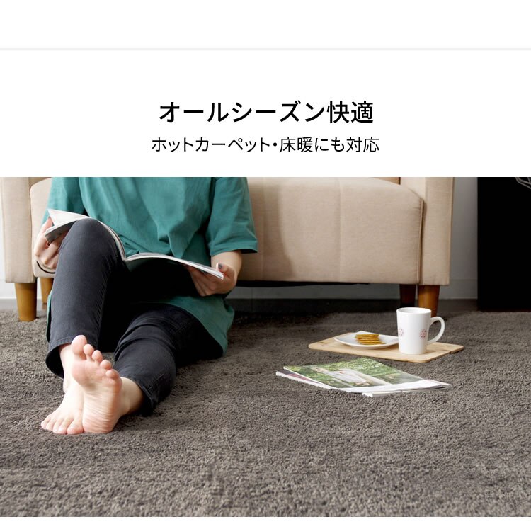 ホットカーペット+シャギーラグ 130&times;190cmSYGR-S-1390 ブラウン6