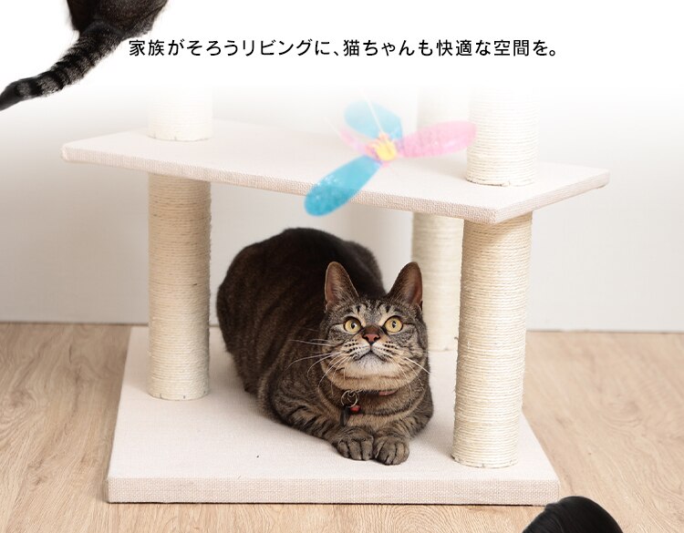 キャットタワー 据え置き ベージュ CCCT-4355S 2