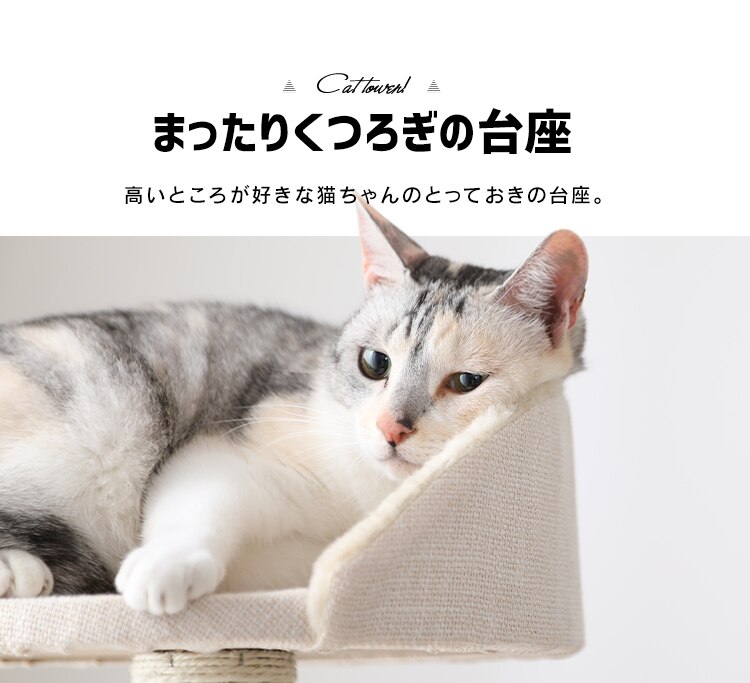 キャットタワー 据え置き ベージュ CCCT-4355S 4