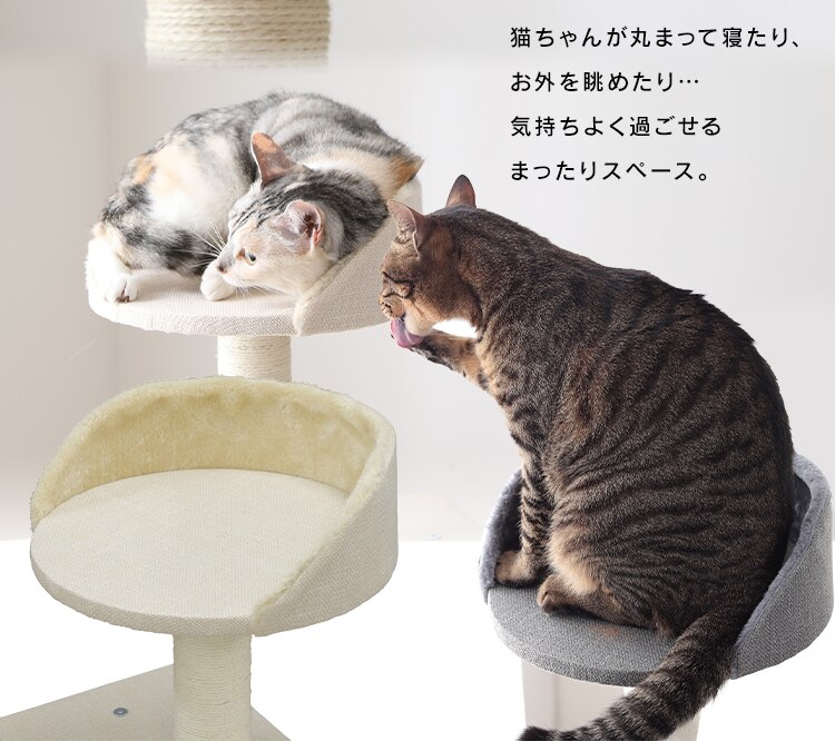 キャットタワー 据え置き ベージュ CCCT-4355S 5