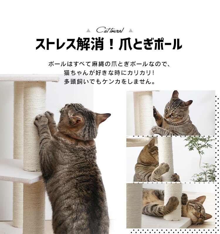 キャットタワー 据え置き ベージュ CCCT-4355S 6