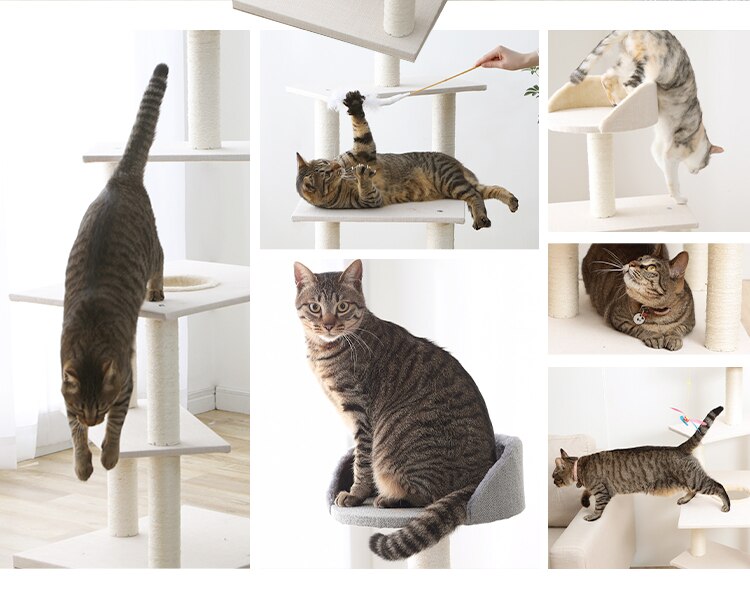 キャットタワー 据え置き ベージュ CCCT-4355S 11