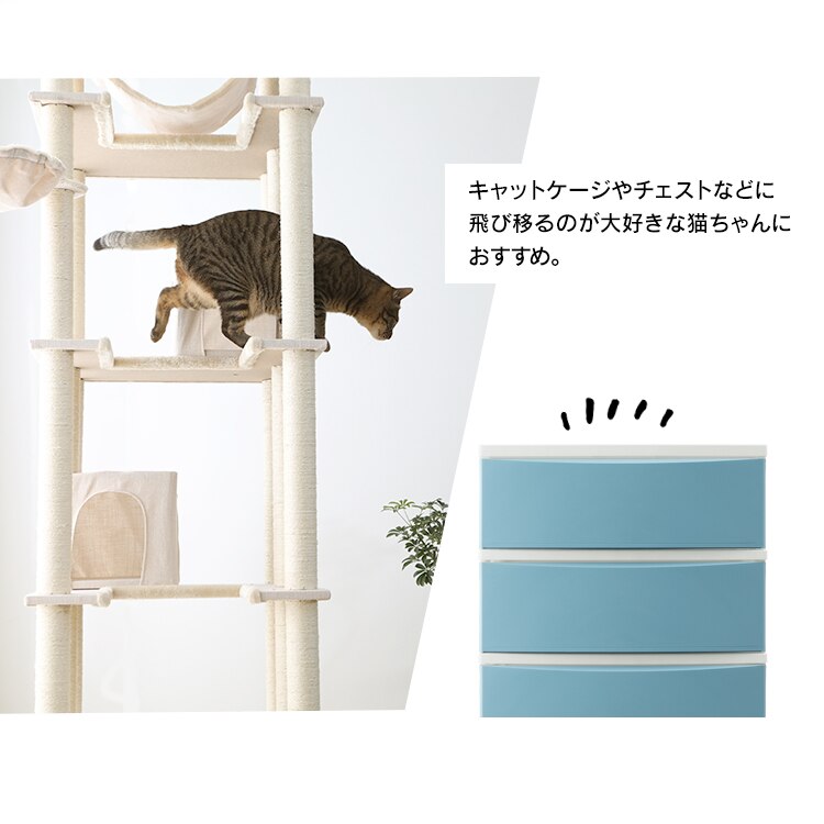 キャットタワー 据え置き ブラウン CCCT-6060S 【前払い不可】【代引き不可】【同梱不可】4