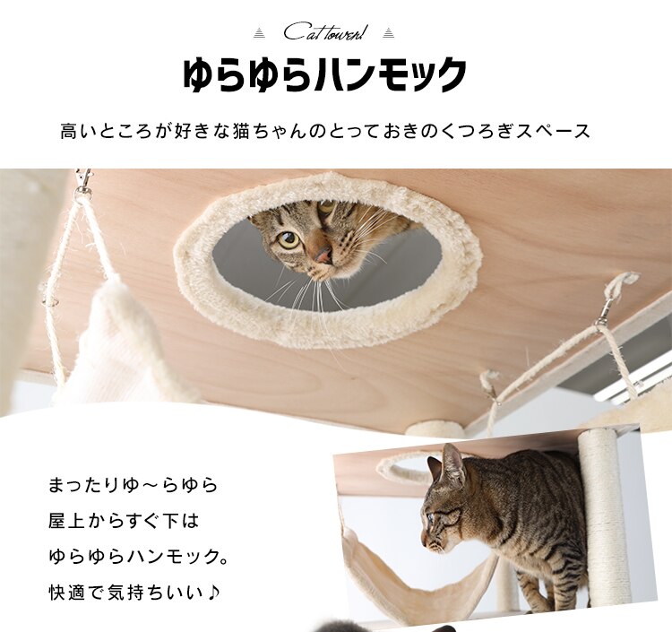 キャットタワー 据え置き ブラウン CCCT-6060S 【前払い不可】【代引き不可】【同梱不可】5