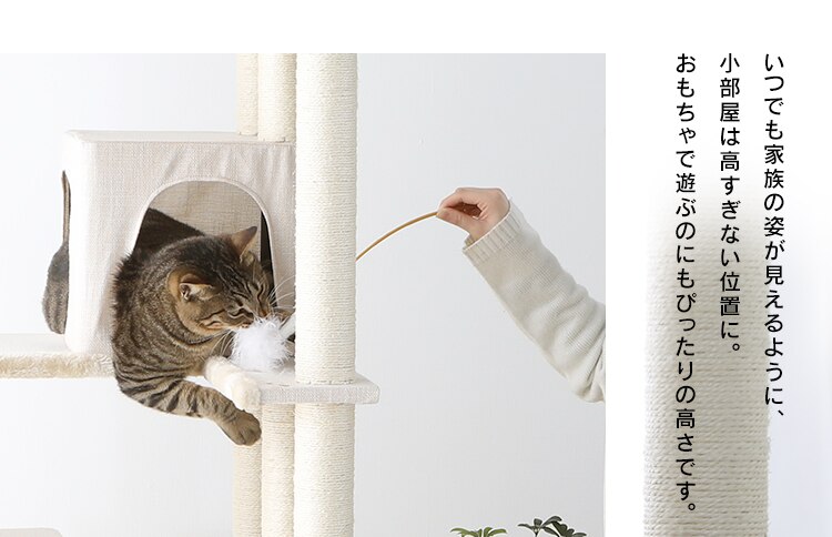 キャットタワー 据え置き ブラウン CCCT-6060S 【前払い不可】【代引き不可】【同梱不可】9