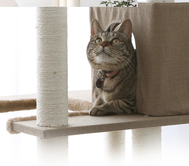 キャットタワー 据え置き ブラウン CCCT-6060S 【前払い不可】【代引き不可】【同梱不可】10