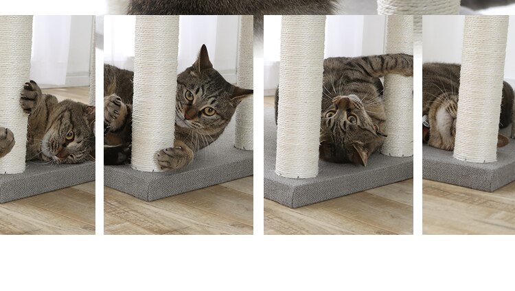 キャットタワー 据え置き ブラウン CCCT-6060S 【前払い不可】【代引き不可】【同梱不可】12