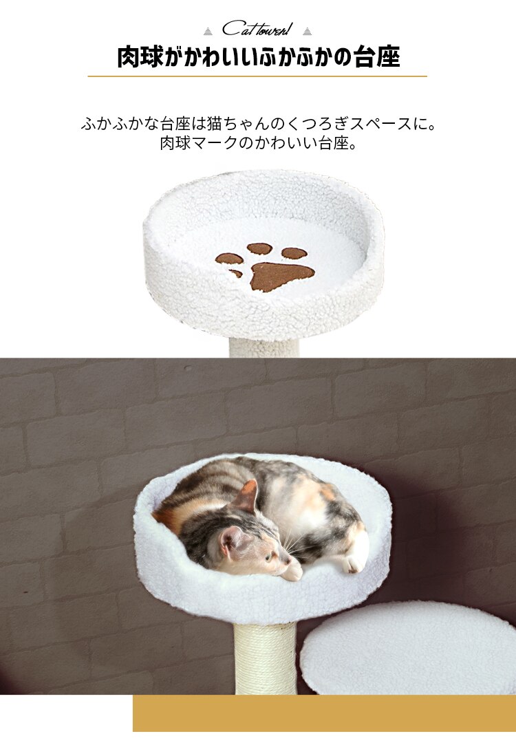 キャットタワー 据え置き CTLR-50 3