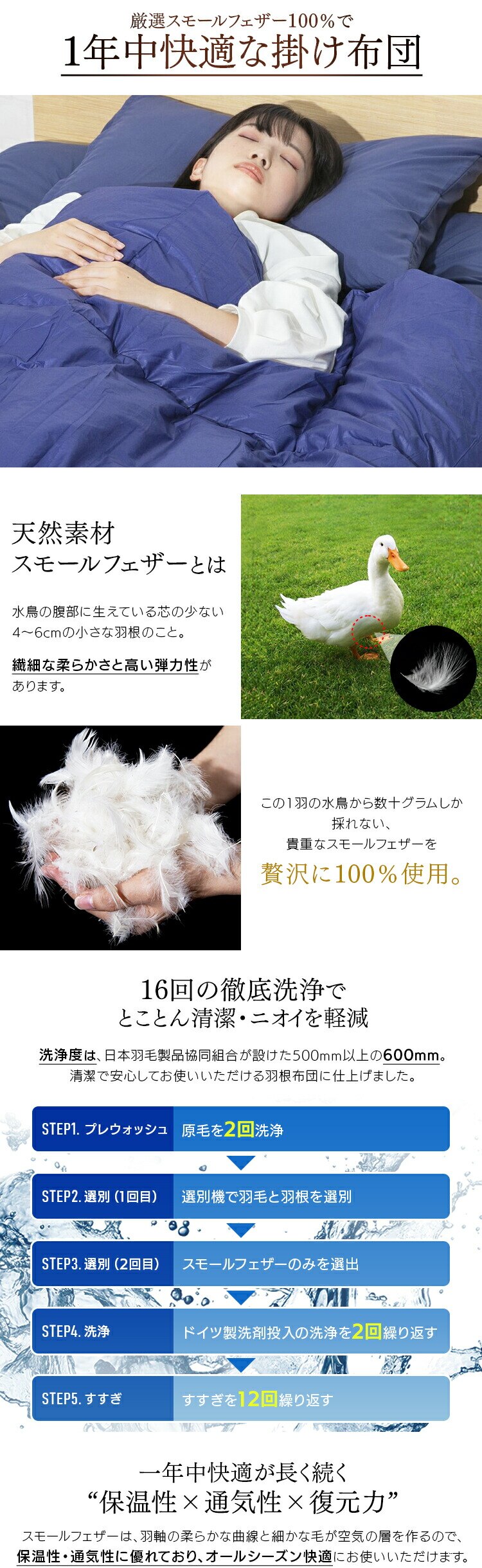 【5点】 布団セット シングル フェザー100% ブラウン 【前払い不可】【代引き不可】【同梱不可】2