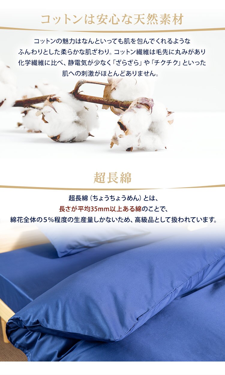 �|���z�c�J�o�[ �V���O�� �v���~�A���R�b�g�� �l�C�r�[2