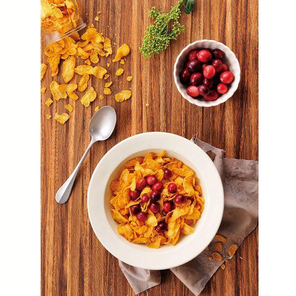 日本食品製造 【5食セット】 オーガニックコーンフレーク プレーン 1