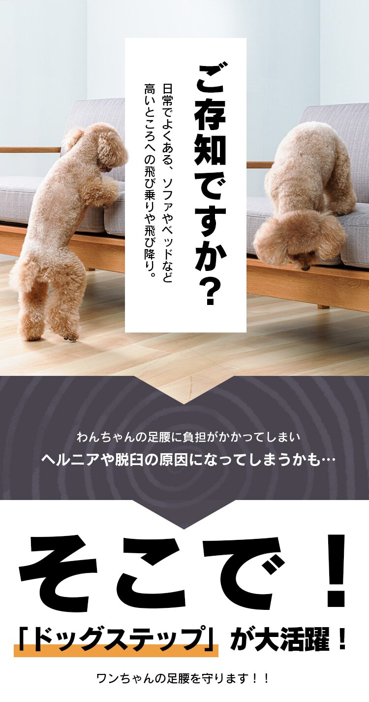 ペット用スロープ ドッグステップ ベージュ1