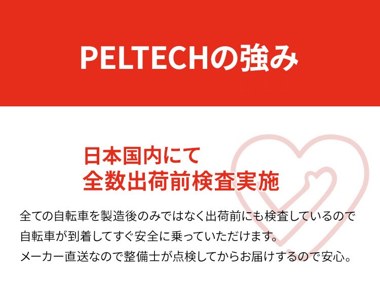 子供乗せ適用電動アシスト自転車 前24後20 TDH-408L-BE ベージュ【直送】 【代引き不可】3