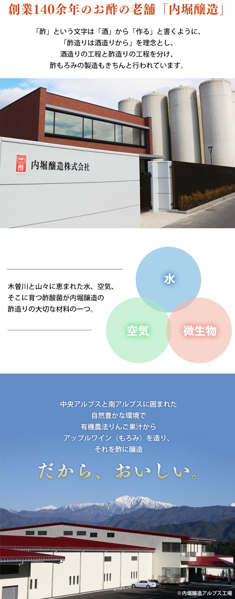 りんご酢 内堀醸造 美濃有機純りんご酢 360ml  2