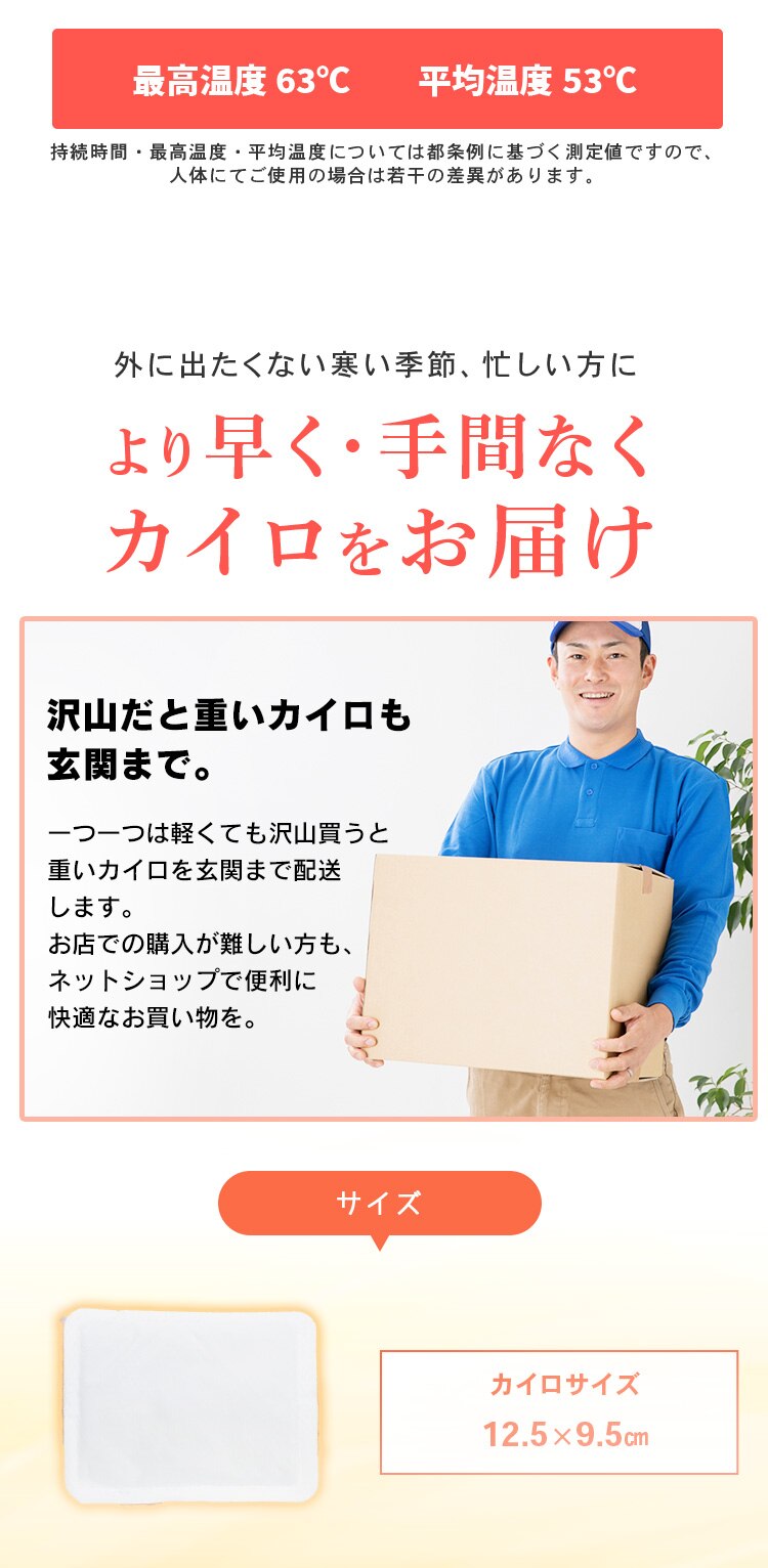 【480枚】 カイロ 貼る レギュラーサイズ2