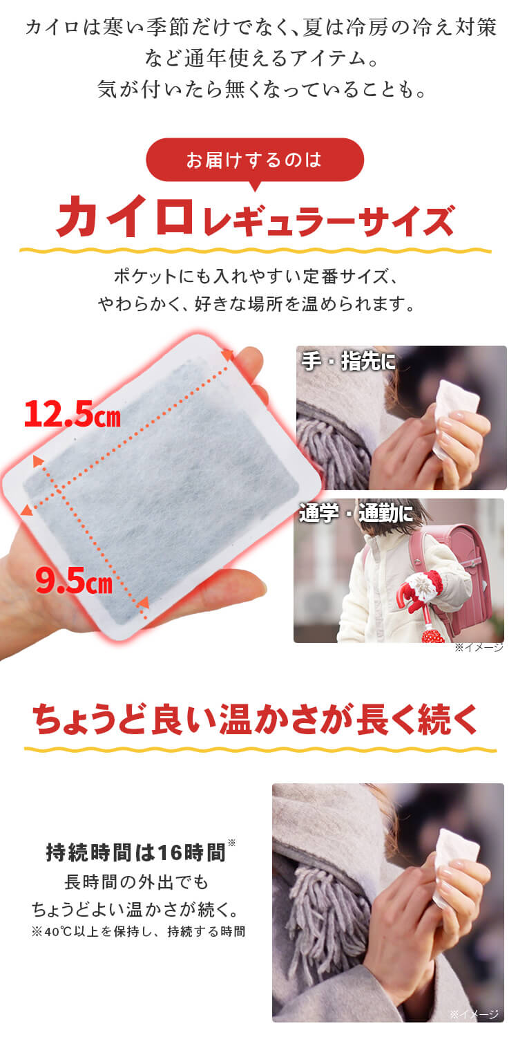 【480枚】カイロ 貼れない レギュラーサイズ1