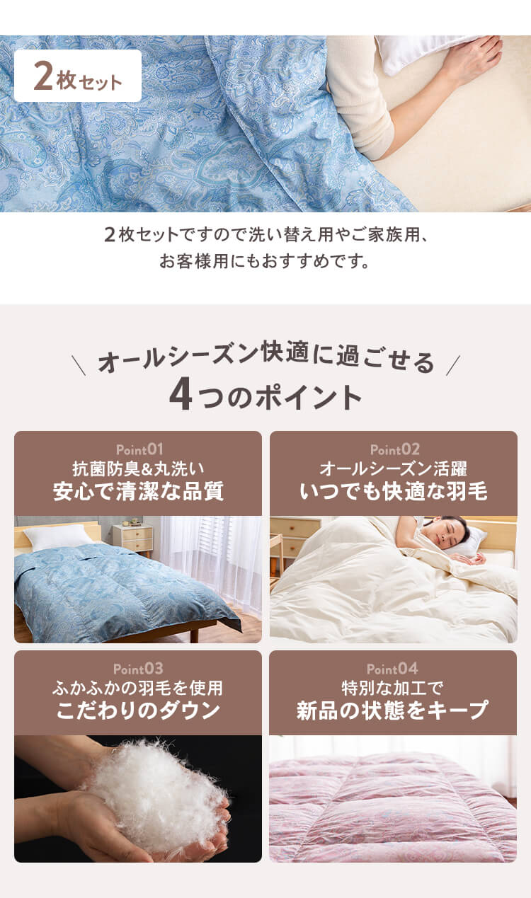 【2枚セット】掛け布団 シングル 羽毛 SDD85% FRFT-85 全3色1