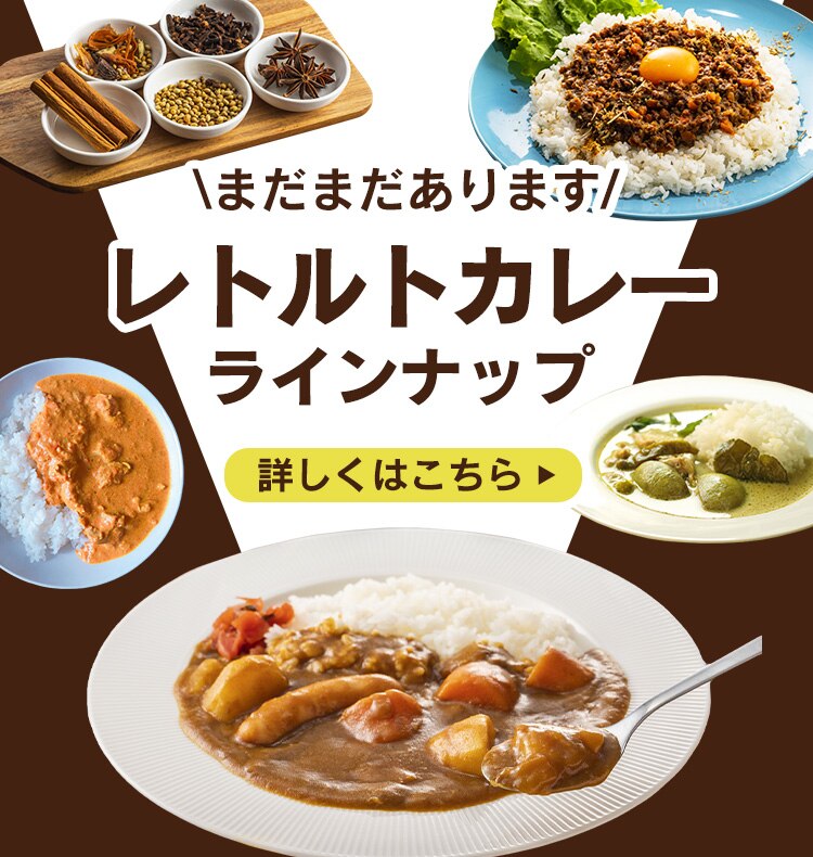 新宿中村屋 プチハヤシ ビーフ12