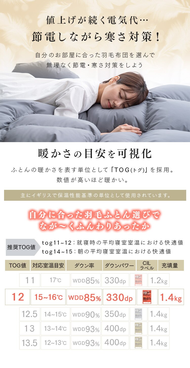 羽毛布団 ダブルロング WDD85% 300dp 1.4kg ペイズリーブルー【前払い不可】【代引き不可】【同梱不可】3