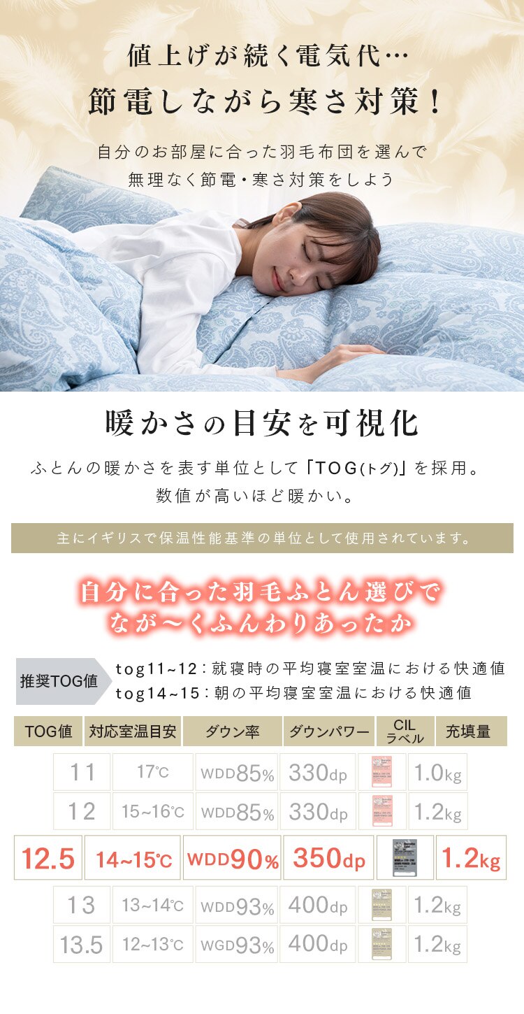 羽毛布団 セミダブルロング WDD90% 350dp 1.2kg ペイズリーブルー3