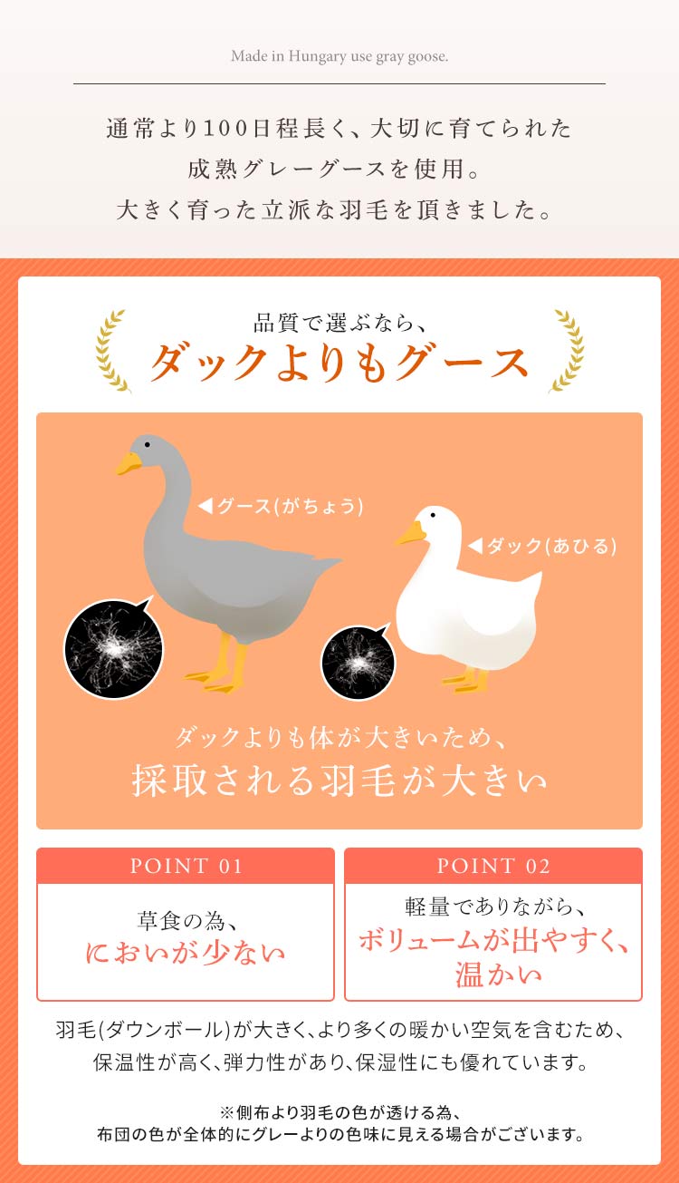 羽毛布団 シングル ハンガリー産 GGD93% 400dp 1.0kg ベージュ 【直送】 【代引き不可】5